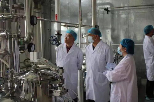 同仁堂興安灤南分公司順利通過(guò)保健食品生產(chǎn)許可現(xiàn)場(chǎng)核查，生物制藥研發(fā)生產(chǎn)再添新翼